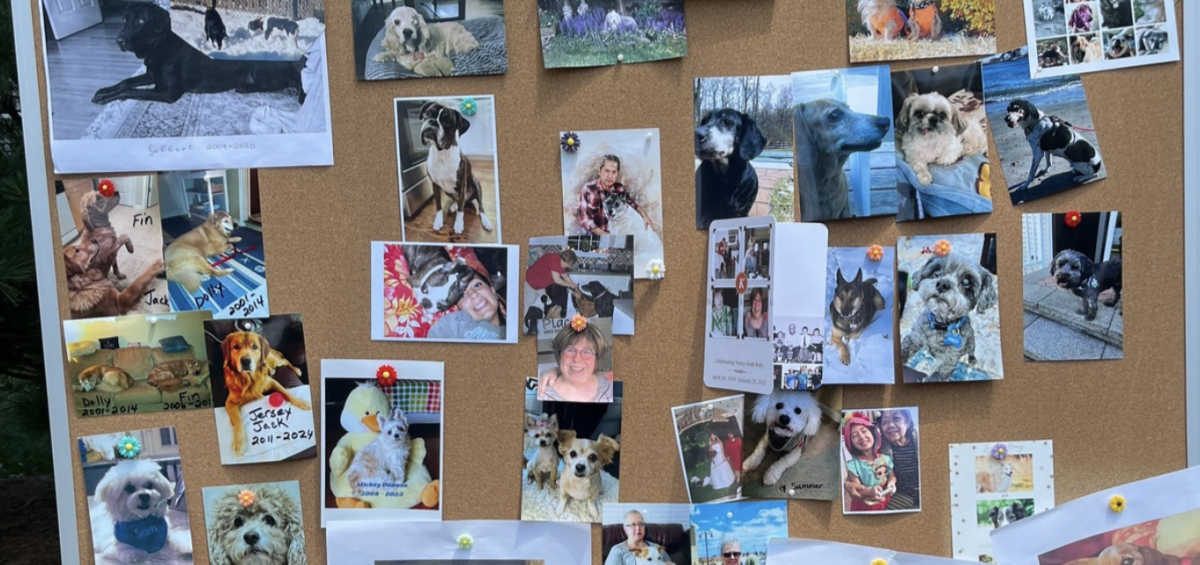 Manny L. Friedman Memorial Garden Tribute Wall